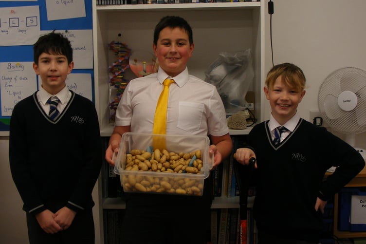 Minehead Middle School pupils with the first potato crop from a new vegetable patch.